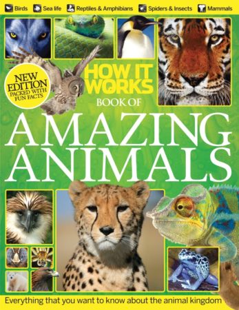 Book of Amazing Animals Revised Edition on sale now – How It Works