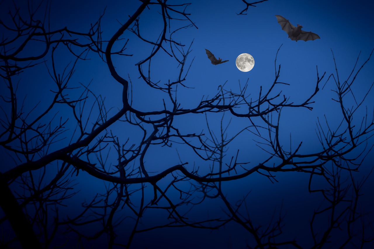 Debunking the vampire myth – How It Works